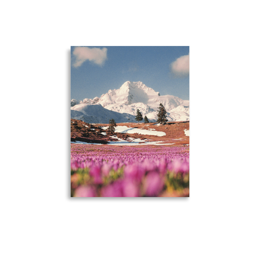 enhanced-matte-paper-poster-in-11x14-front-670526d825ba2.jpg