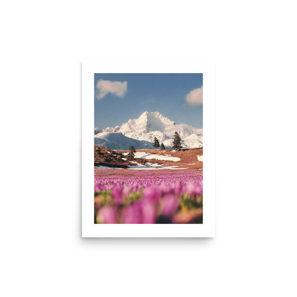 enhanced-matte-paper-poster-in-12x16-front-670526d825d12.jpg