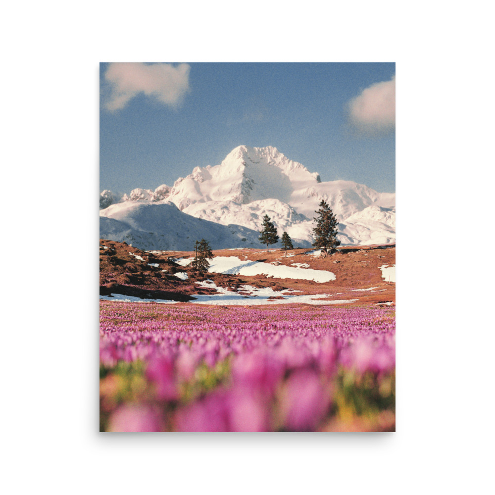 enhanced-matte-paper-poster-in-16x20-front-670526d825e77.jpg
