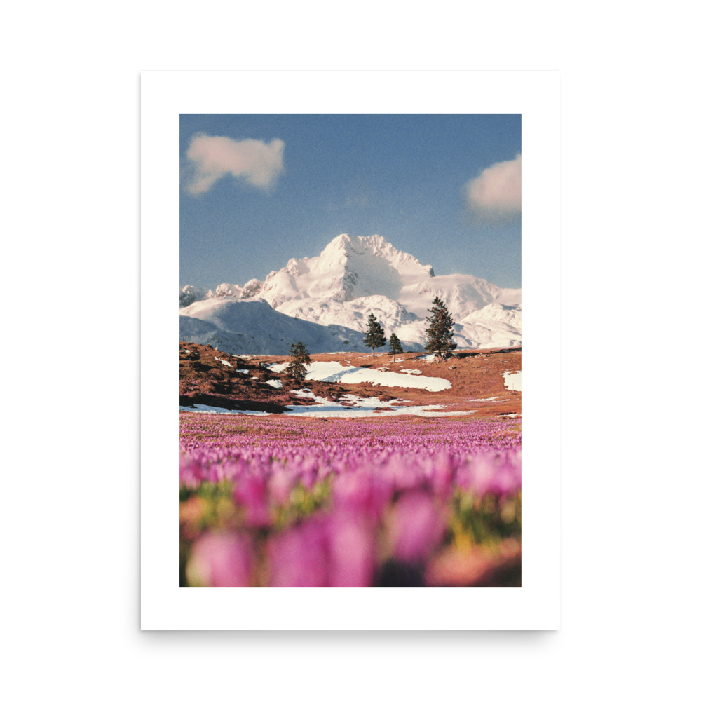 enhanced-matte-paper-poster-in-18x24-front-670526d824edd.jpg