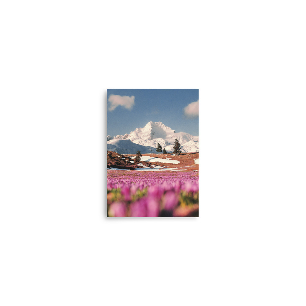 enhanced-matte-paper-poster-in-5x7-front-670526d82607a.jpg