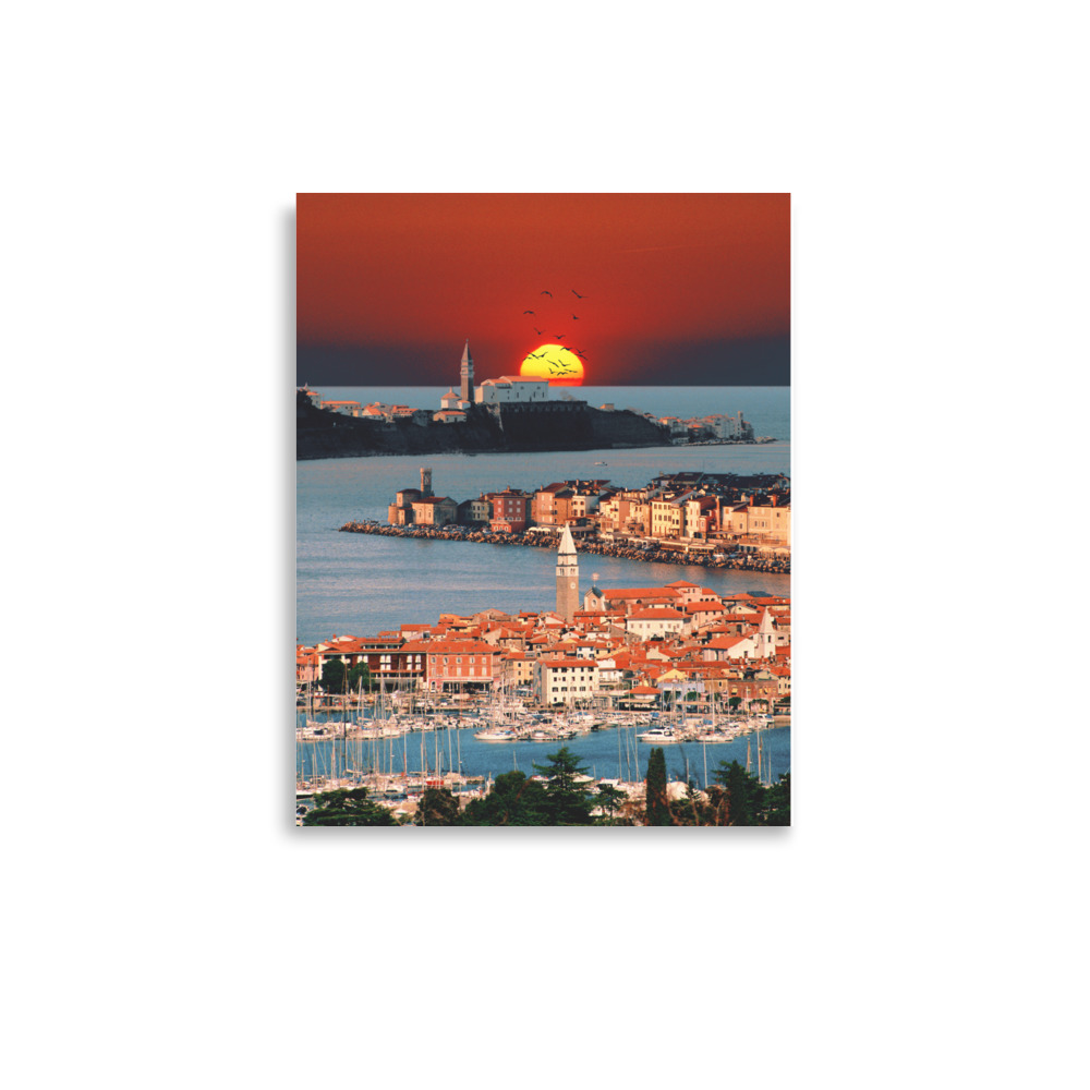 enhanced-matte-paper-poster-in-11x14-front-68404fd84fff0.jpg