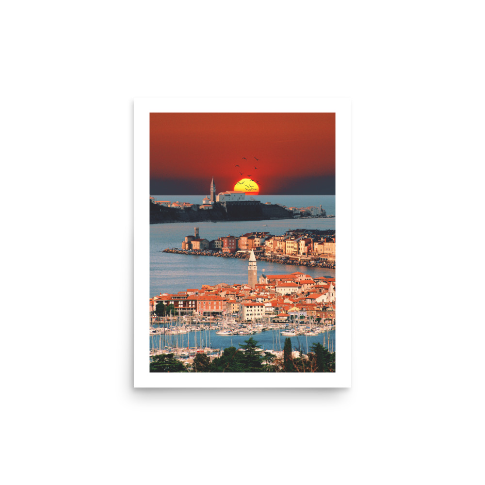 enhanced-matte-paper-poster-in-12x16-front-68404fd85013a.jpg