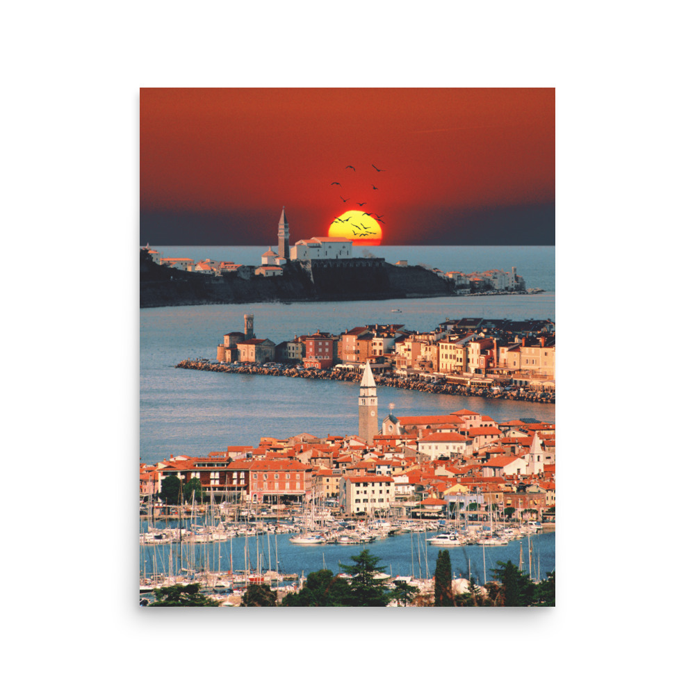 enhanced-matte-paper-poster-in-16x20-front-68404fd850275.jpg