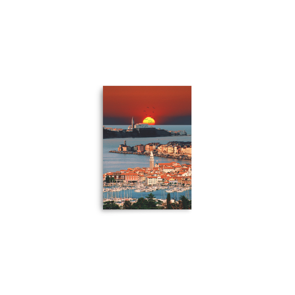 enhanced-matte-paper-poster-in-5x7-front-68404fd85045f.jpg